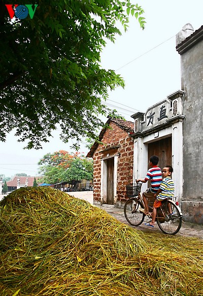 Ancient village at harvest time  - ảnh 12